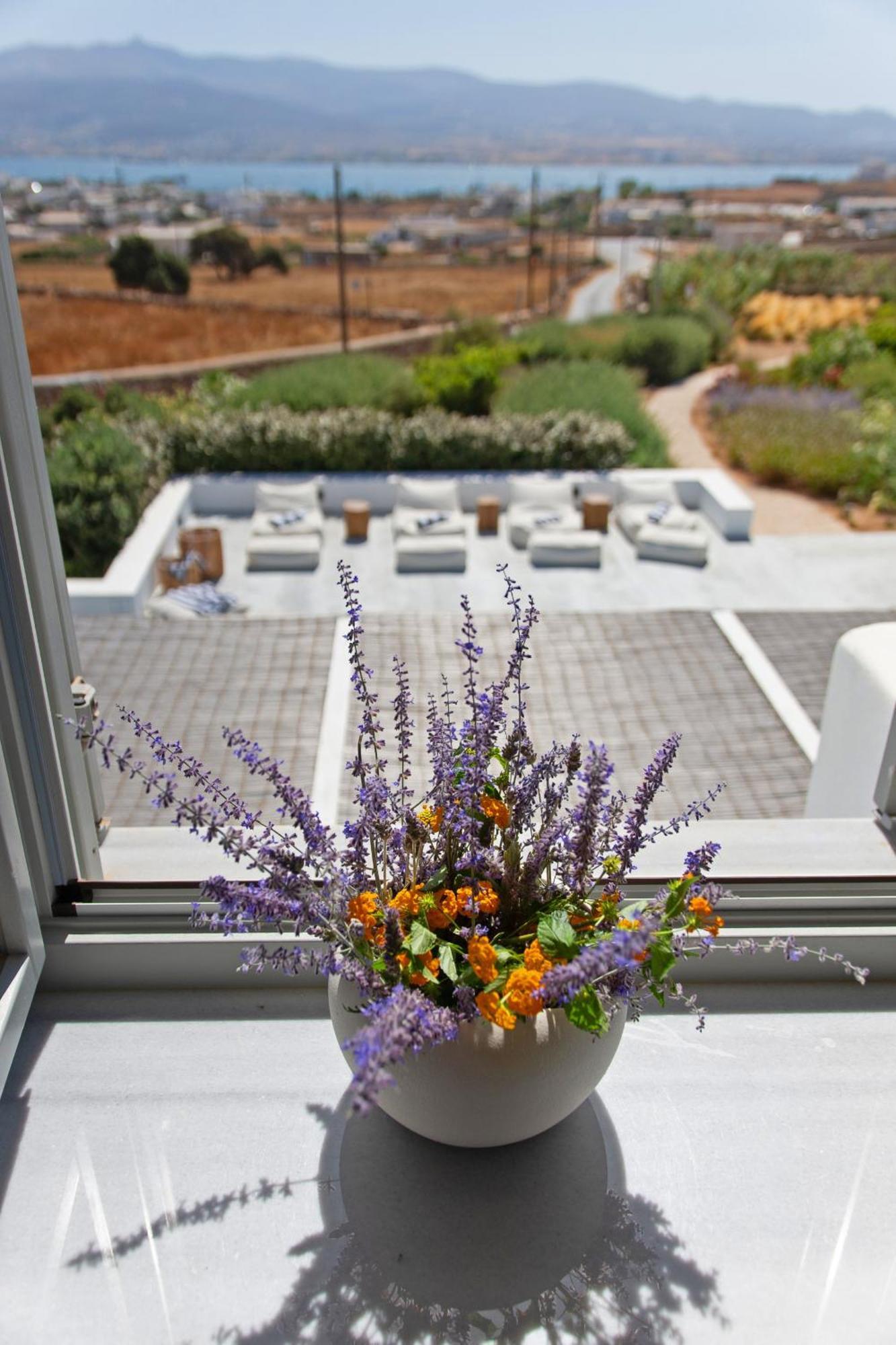 Dreamy 5 Bdr Antiparos Pool Villa Exterior foto